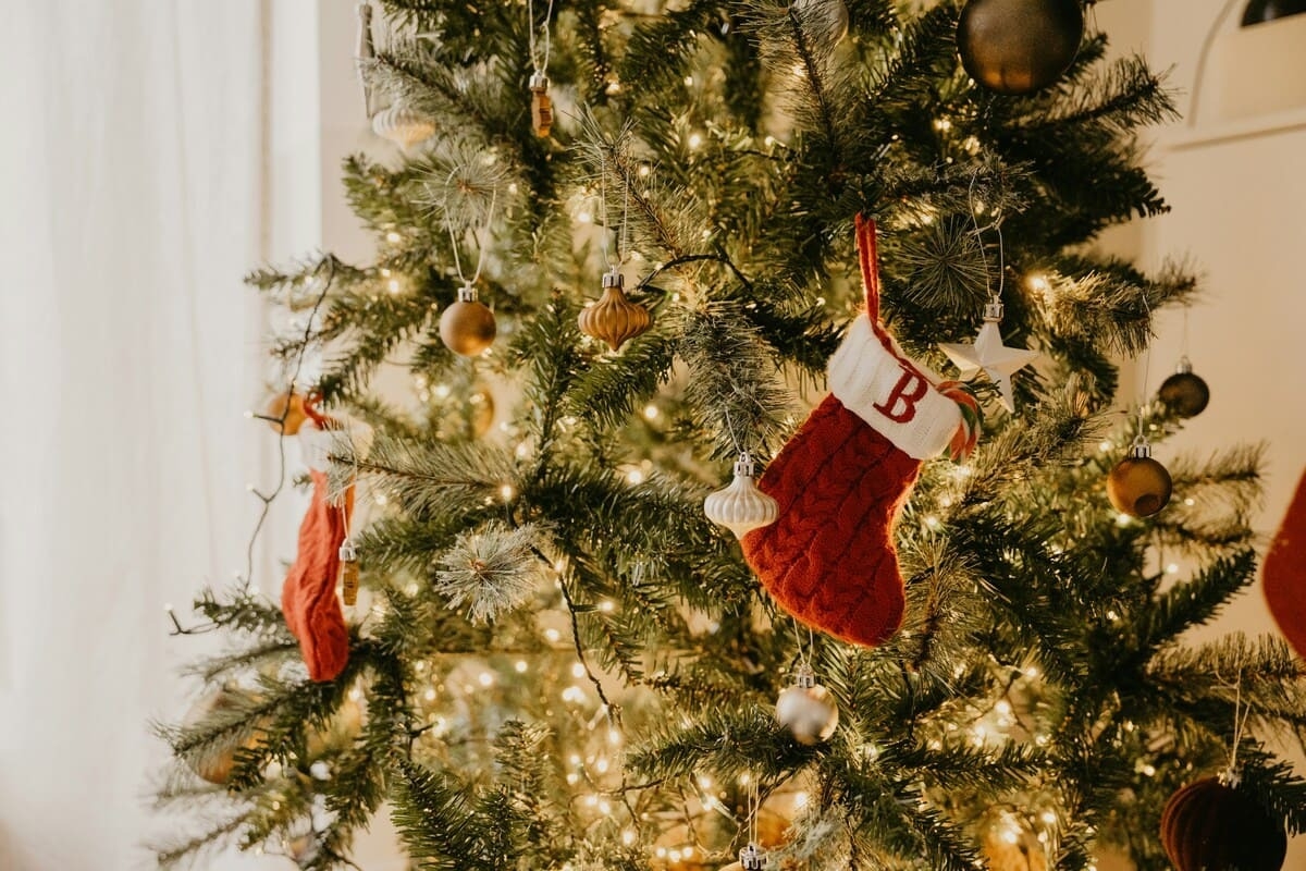 Новогодняя елка: от покупки до переработки без вреда для природы