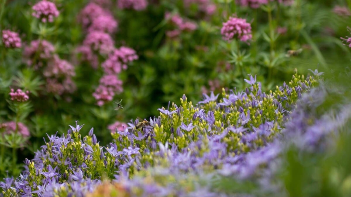 Экологи предупредили о рисках экстремального лета 2026 года