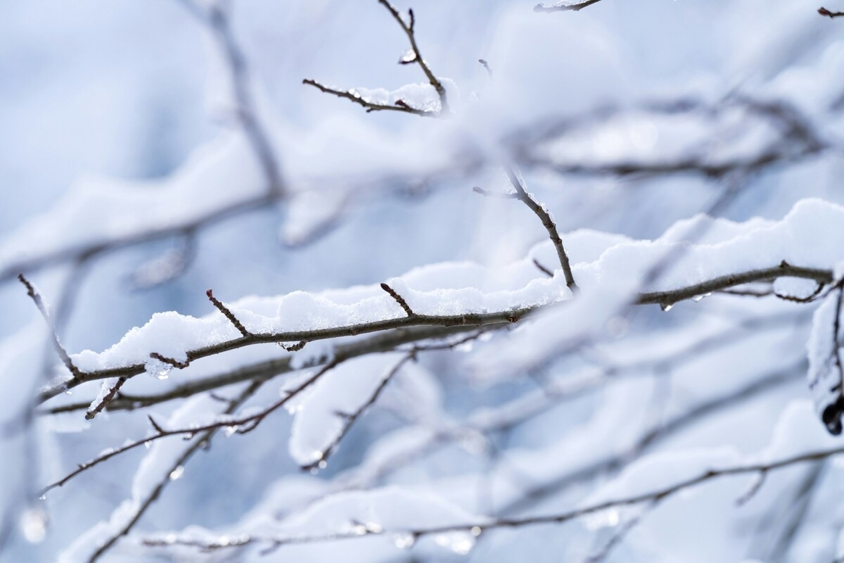 Снегопады 4 марта увеличили время поездок на такси до 30% и сместили вечерний час пик