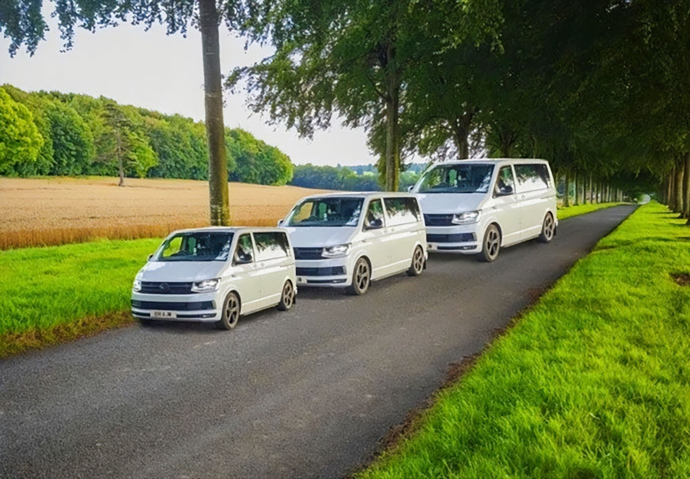 Эти три автомобиля одинакового размера. Раскрыта очередная ловушка мозга