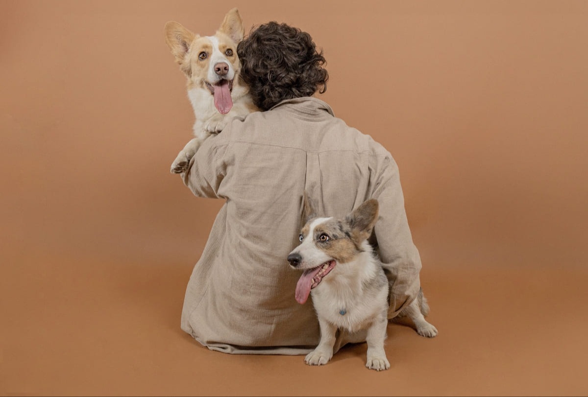 Аллергия у собак: почему причина не всегда в корме