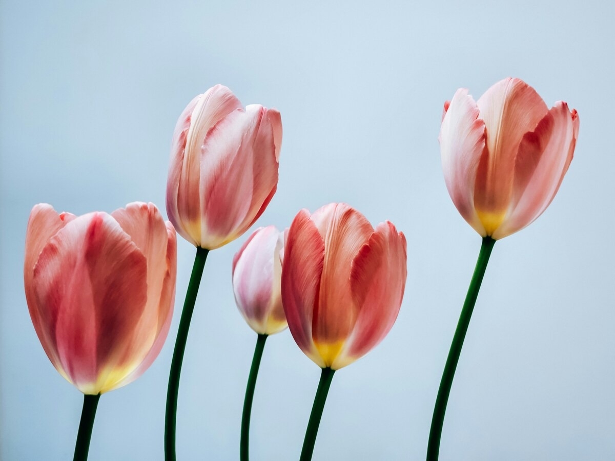 От «Ничего не бойся» до «Редких женщин»: гид событий 20-26 апреля