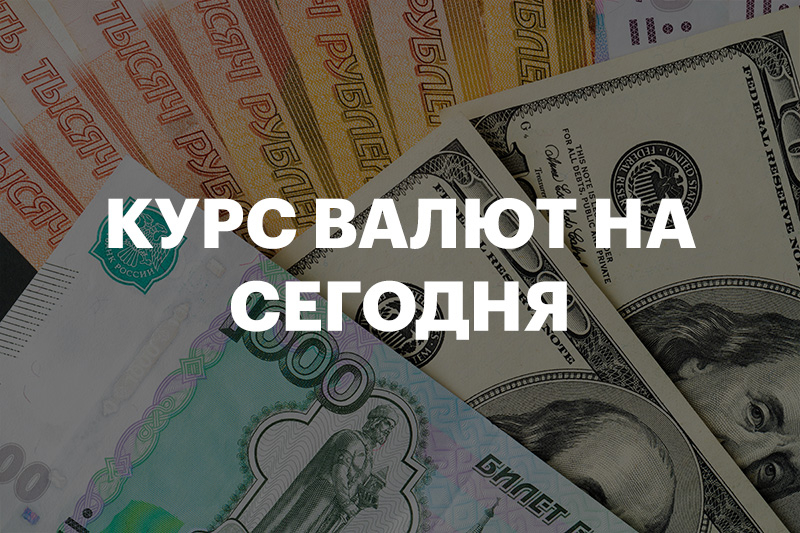 Центробанк опубликовал изменения в курсах валют. Курсы валют на 01.11.2022